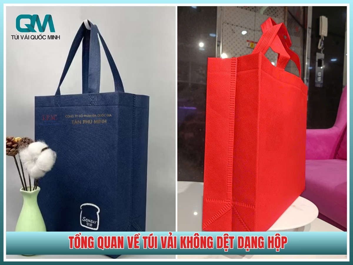 Tổng quan về túi vải không dệt dạng hộp