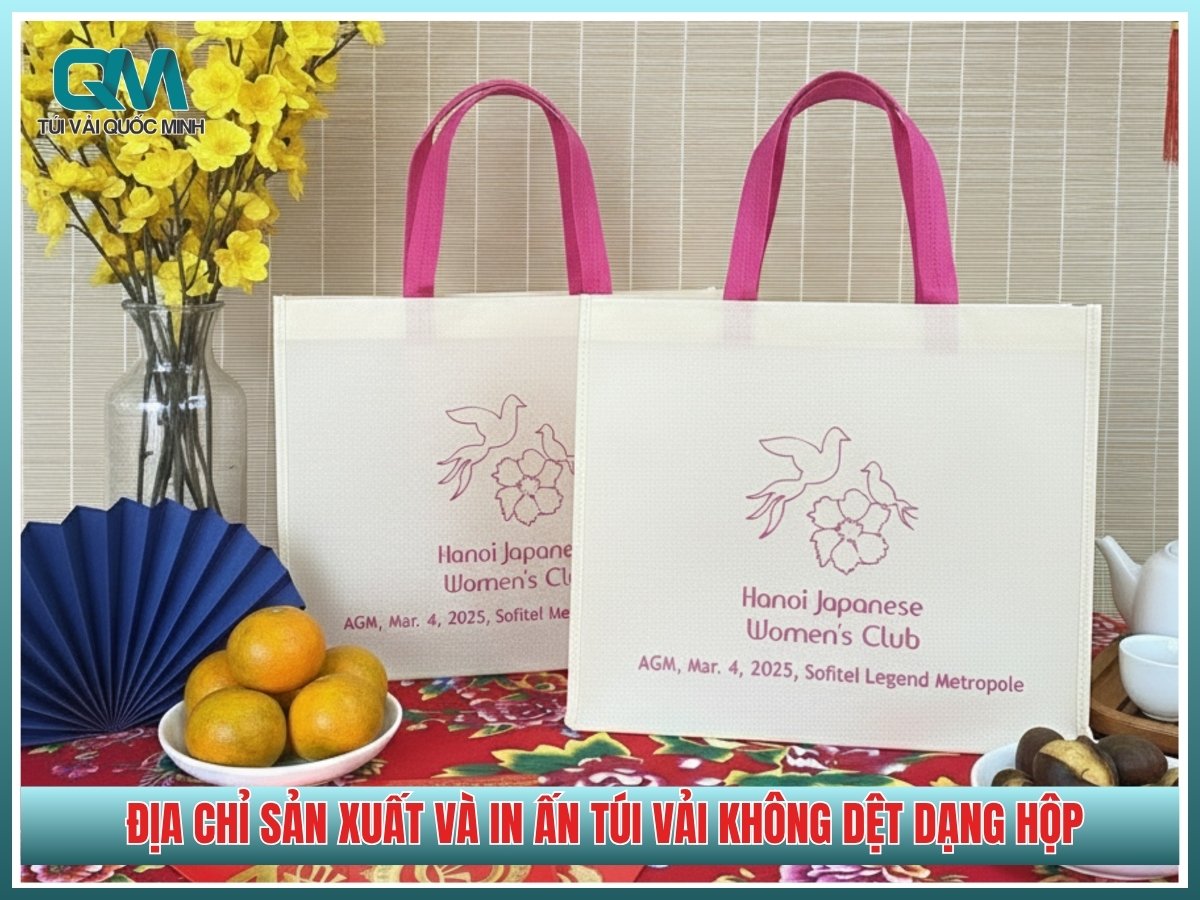 Địa chỉ sản xuất và in ấn túi vải không dệt dạng hộp chất lượng giá rẻ