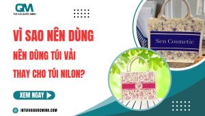 Vi sao nen dung tui vai thay cho tui nilon