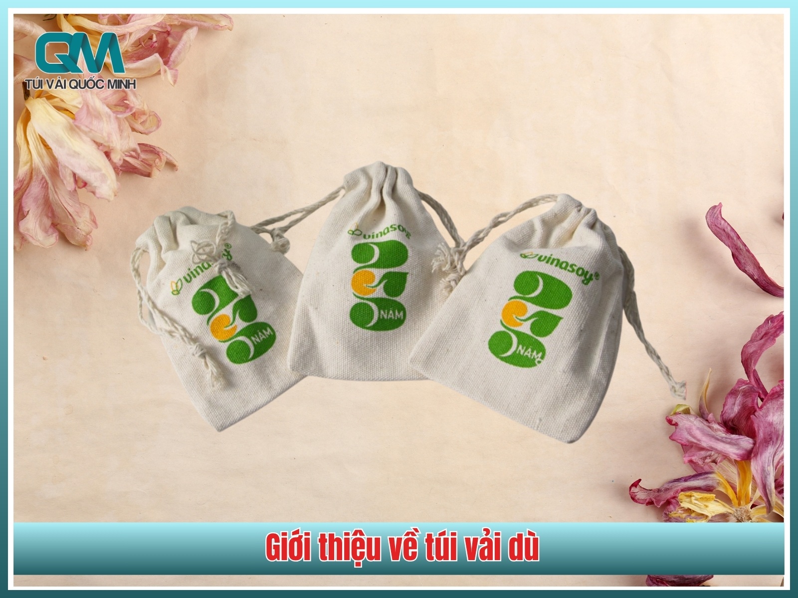 Gioi thieu ve tui vai du
