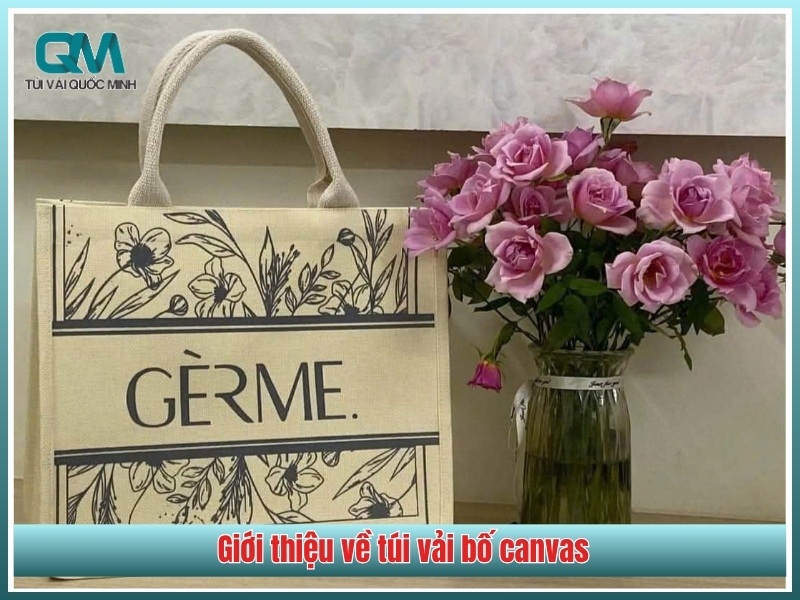 Gioi thieu ve tui vai bo canvas