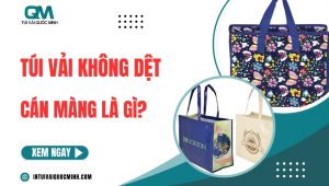 [thumbnail] túi vải không dệt cán màng là gì
