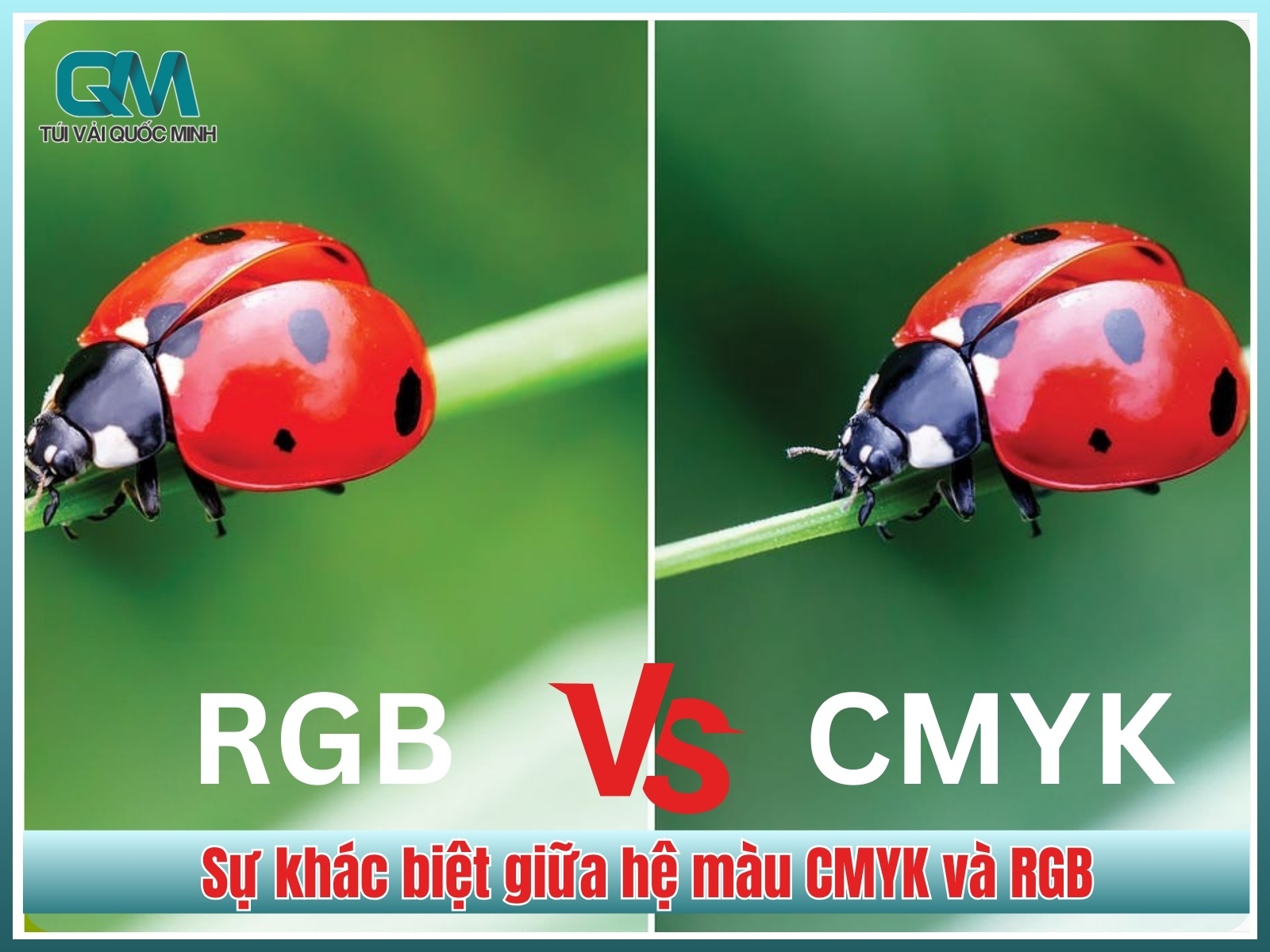 Sự khác biệt giữa hệ màu CMYK và RGB