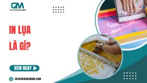[Thumnail] in lụa là gì