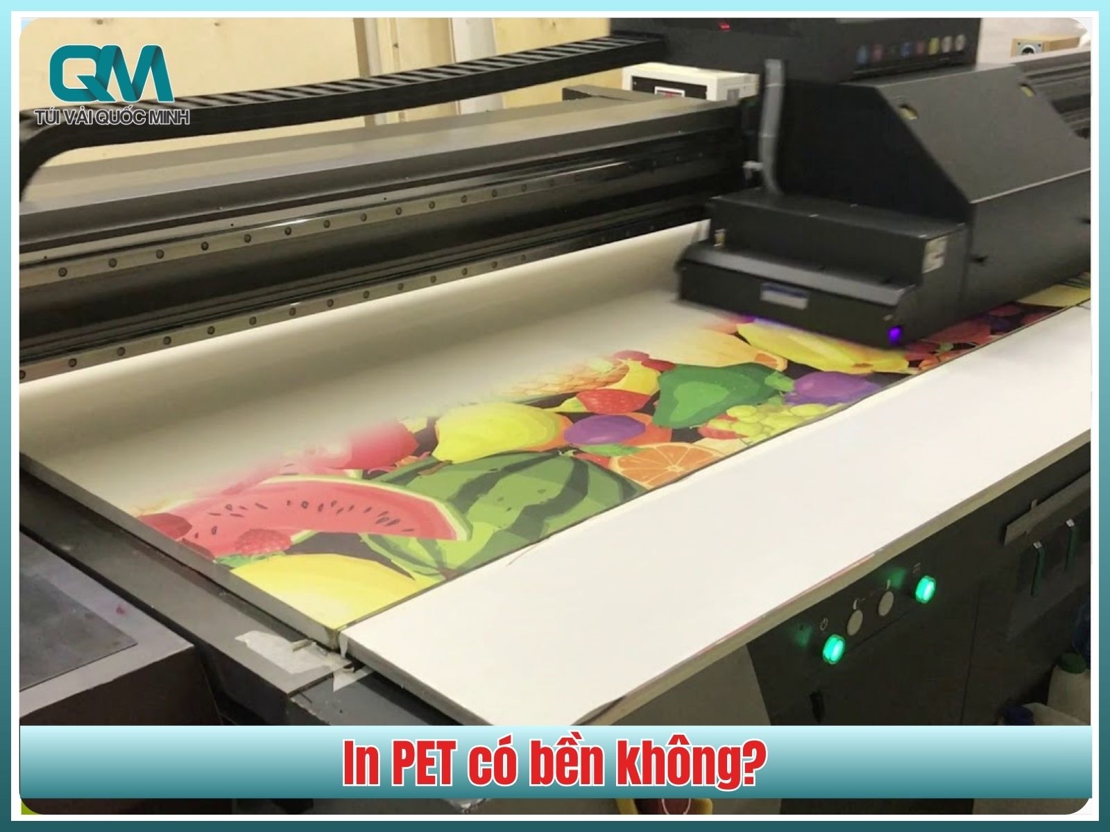 In PET có bền không?