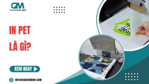 [Thumnail] in pet là gì