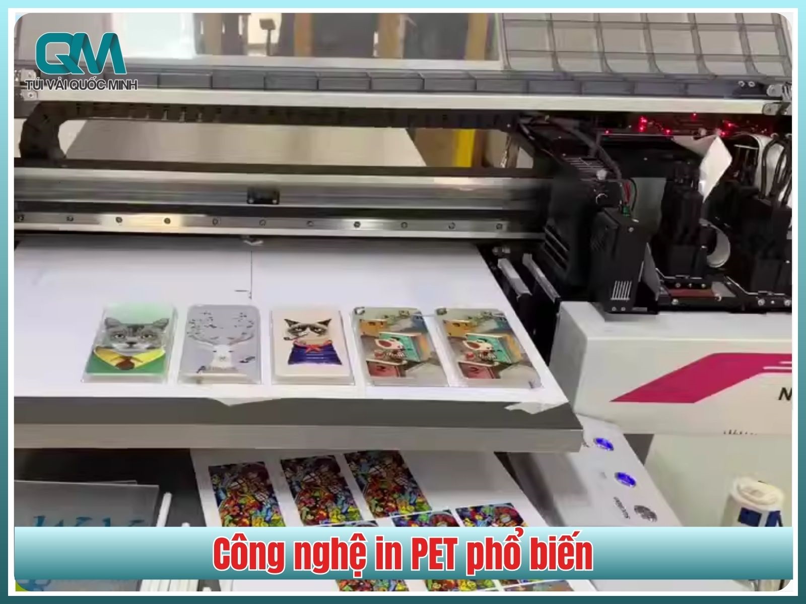 3 công nghệ in PET phổ biến