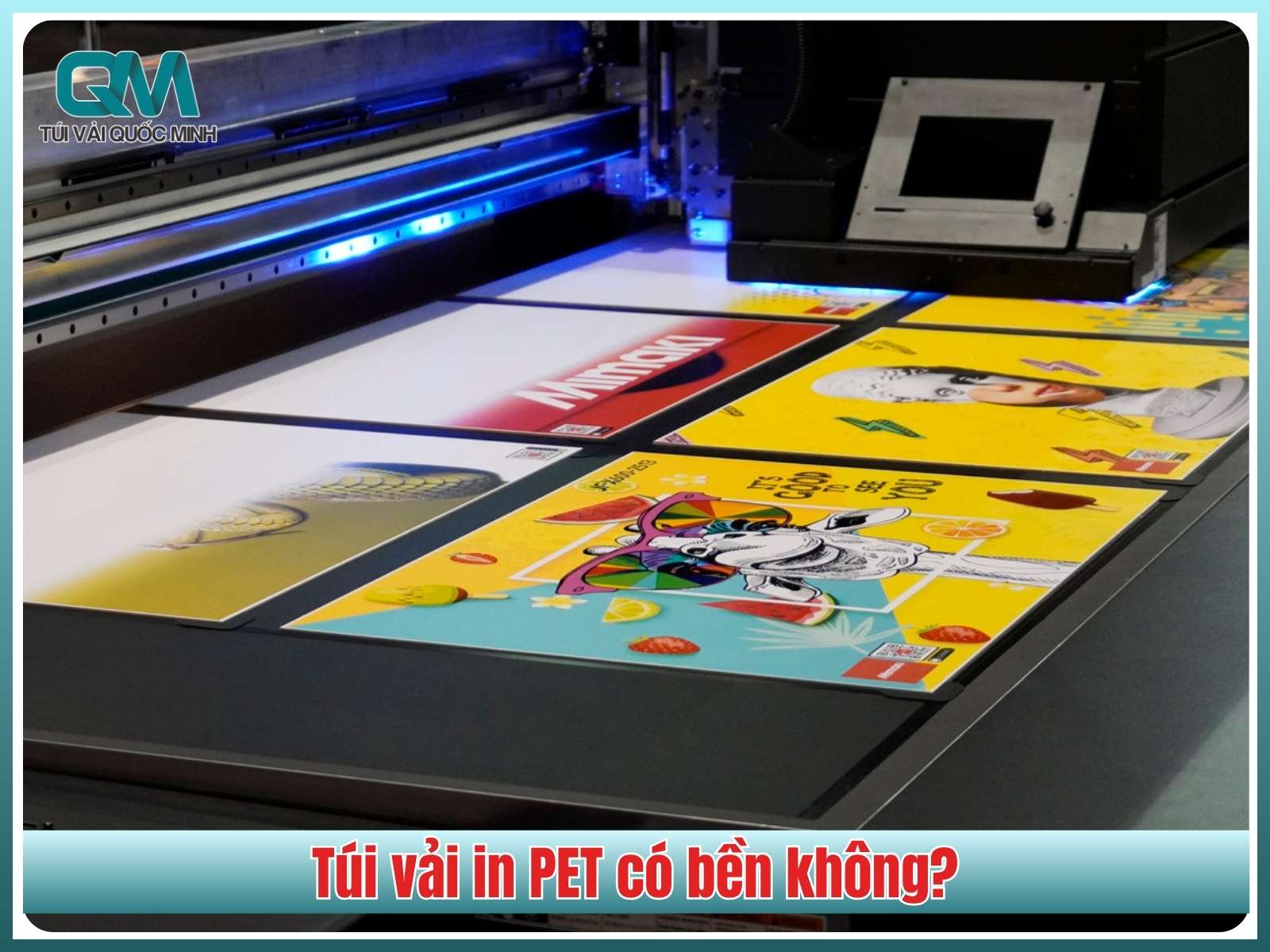 Túi vải in PET có bền không?