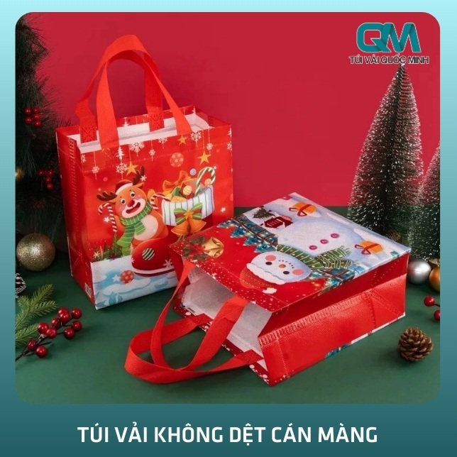 Túi vải không dệt cán màng là gì?