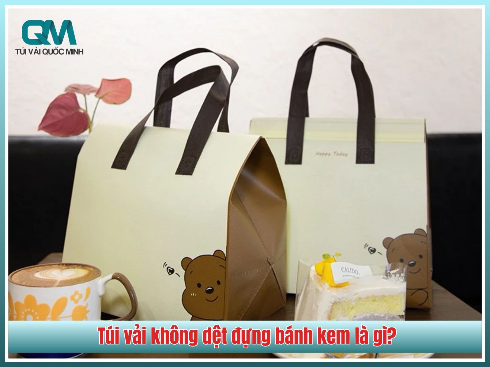 Túi vải không dệt đựng bánh kem là gì?