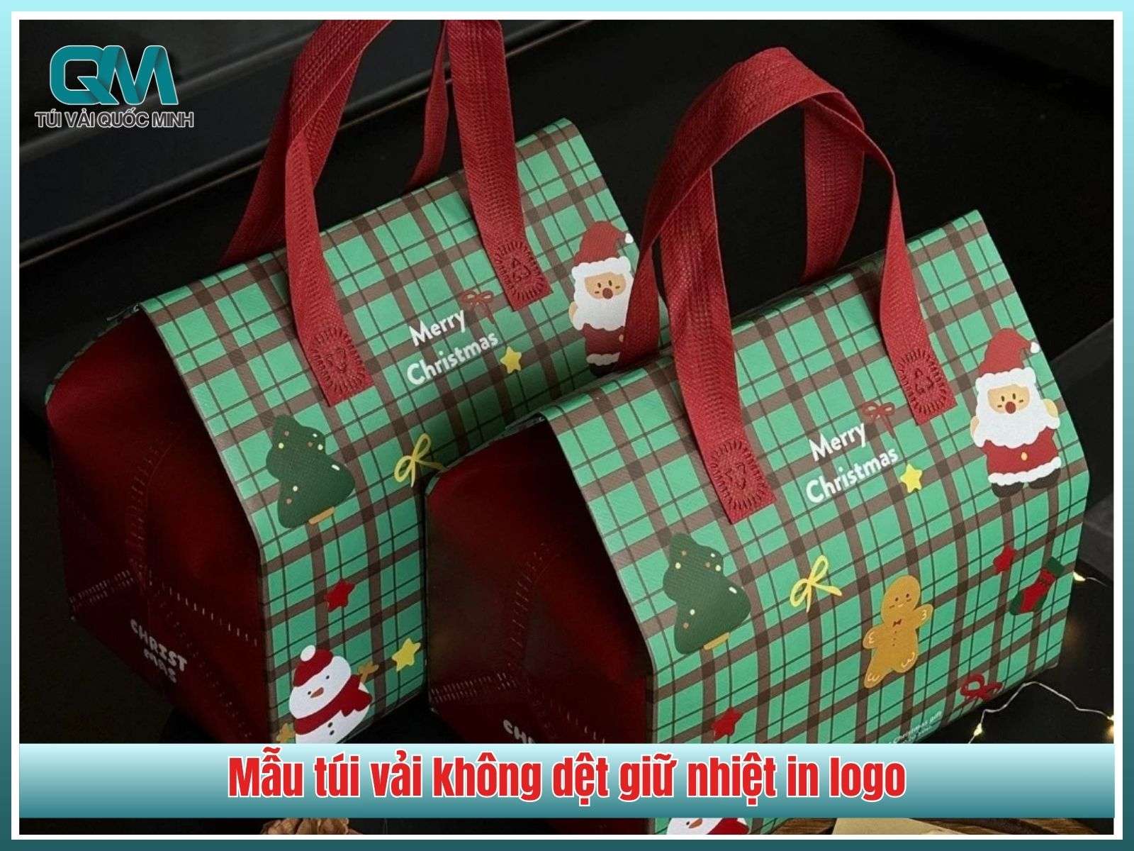 Mẫu túi vải không dệt giữ nhiệt in logo