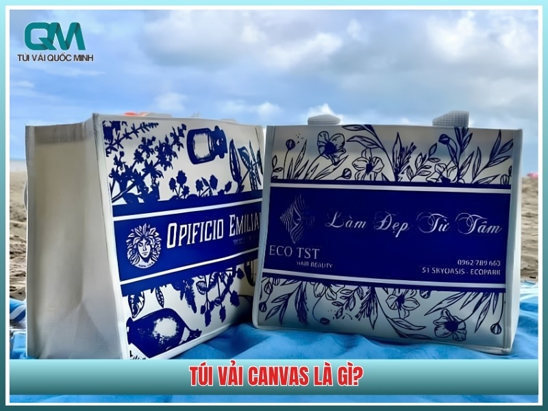 Túi vải canvas là gì?