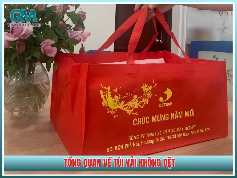 Tổng quan về túi vải không dệt