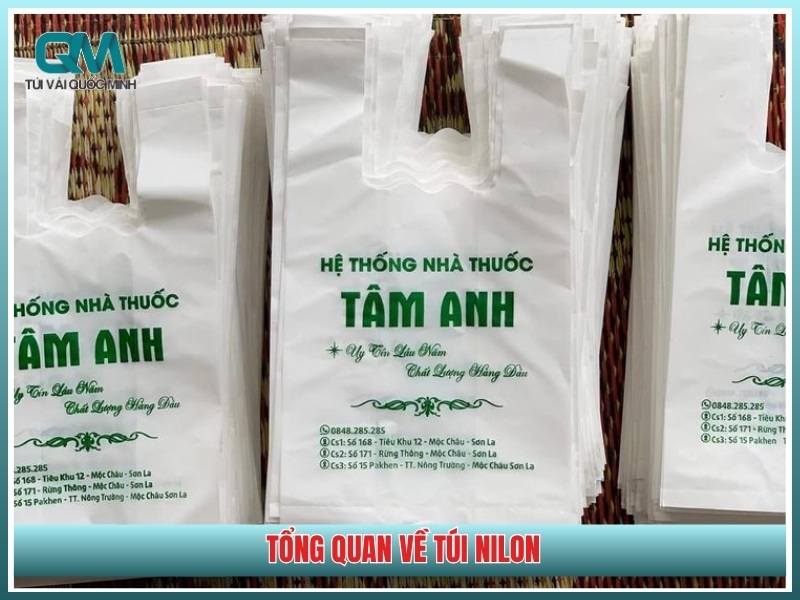 Tổng quan về túi nilon